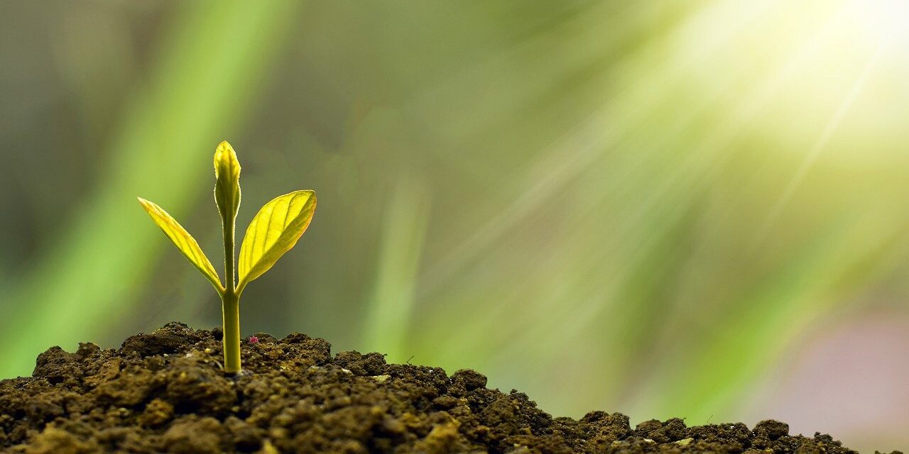 investment-5241253_1280